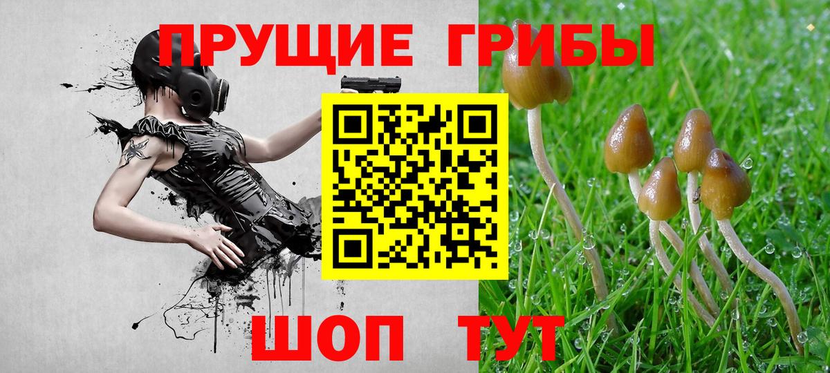 Галлюциногенные грибы ЛСД Александров