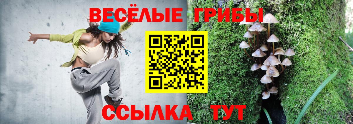 Александров  Псилоцибиновые грибы Psilocybe  Вход с VPN  Галлюциногенные грибы мицелий 